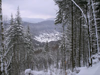 Entlang des Wanderweges eröffnet sich ein herlicher Blick auf Gräfenhausen