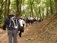 Eine Wandergruppen unterwegs auf auf dem Wildsauweg