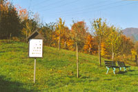 Die bepflanzte Streuobstwiese im Sonnenschein